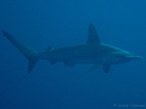 older_photos_34