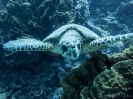 older_photos_35