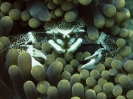 older_photos_3