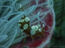older_photos_5