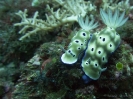 older_photos_7