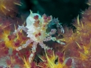 older_photos_8